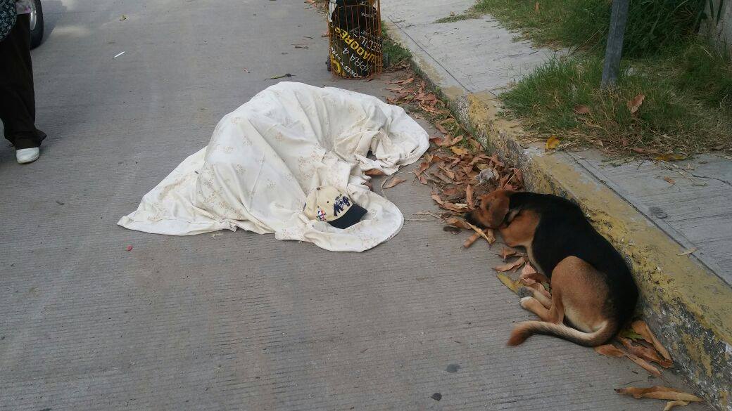 Perrito espera junto al cuerpo de su dueño.(Francisco Alustiza)