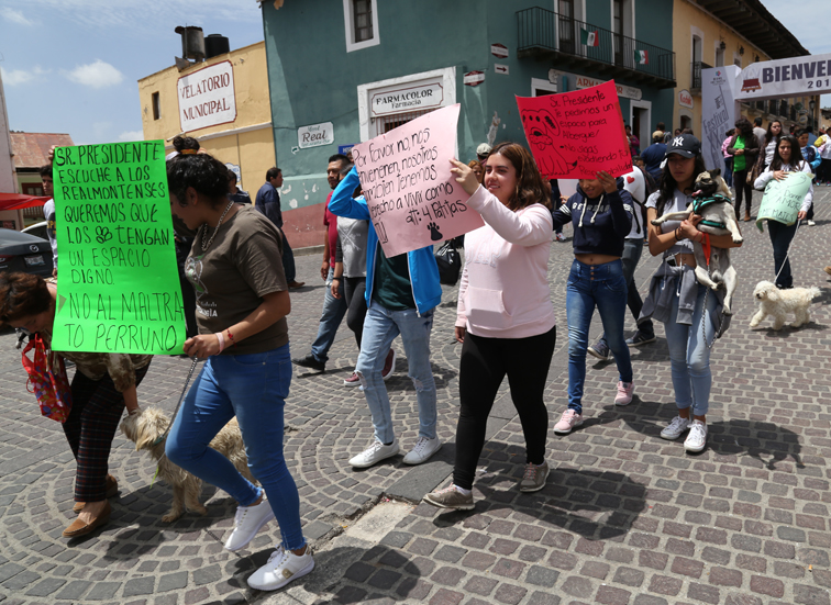 Protección Animal no cuenta con un censo de perros callejeros de Mineral del Monte. (Jorge Sánchez)