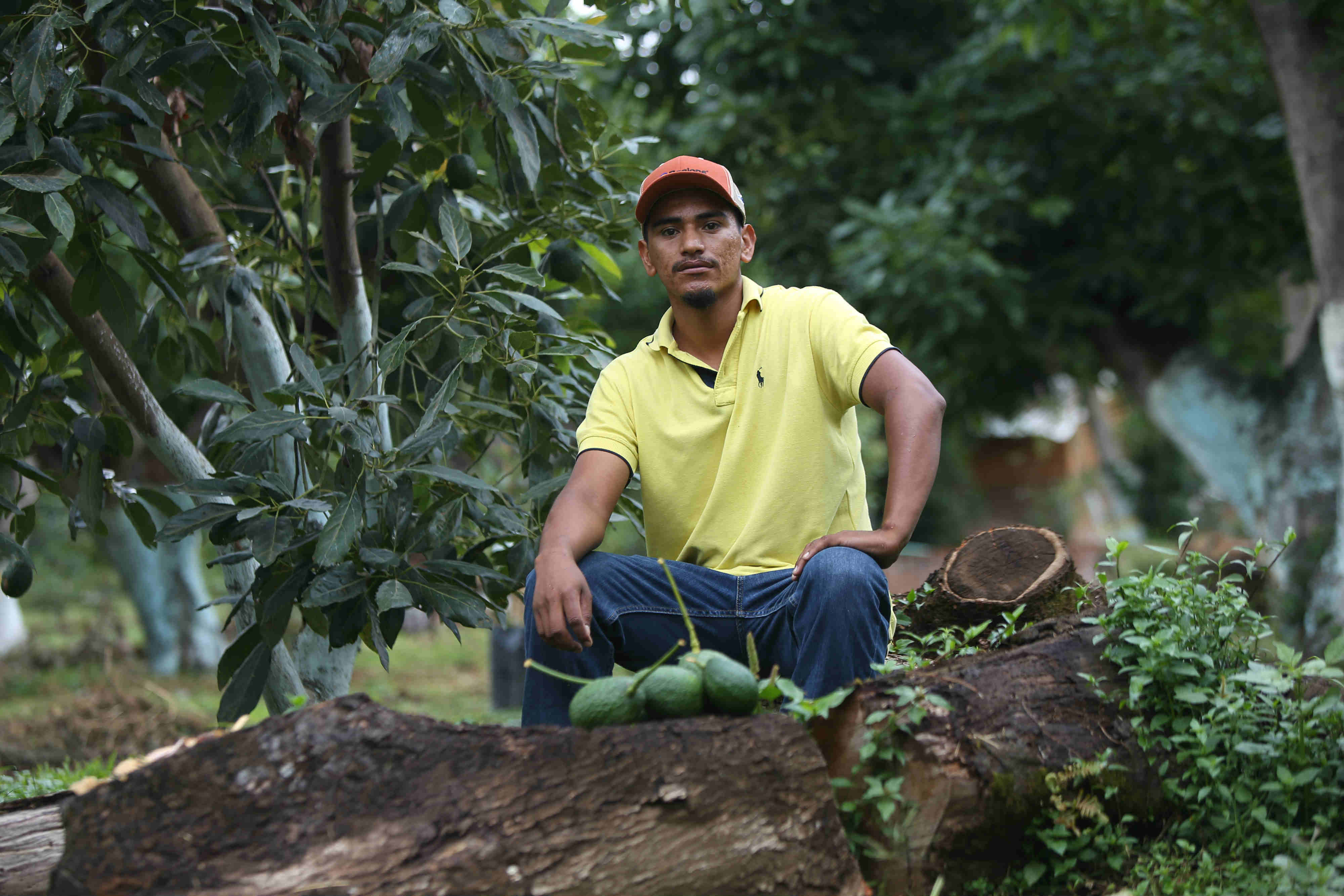 Luis Rangel, disfruta de las mieles del boom aguacatero. (Foto: Juan Carlos Bautista).