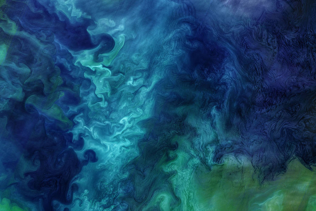 Los tonos verdes, azul y turquesa corresponden a diversos tipos de fitoplancton. (NASA/U. S. Geological Survey/Norman Kuring/Kathryn Hansen)