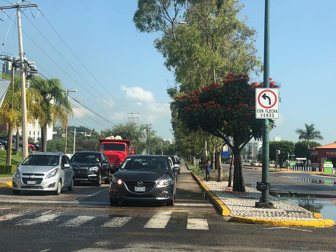 Ciclistas y automovilistas de la ciudad dan el visto bueno a las modificaciones del reglamento. (Joana Casillas)