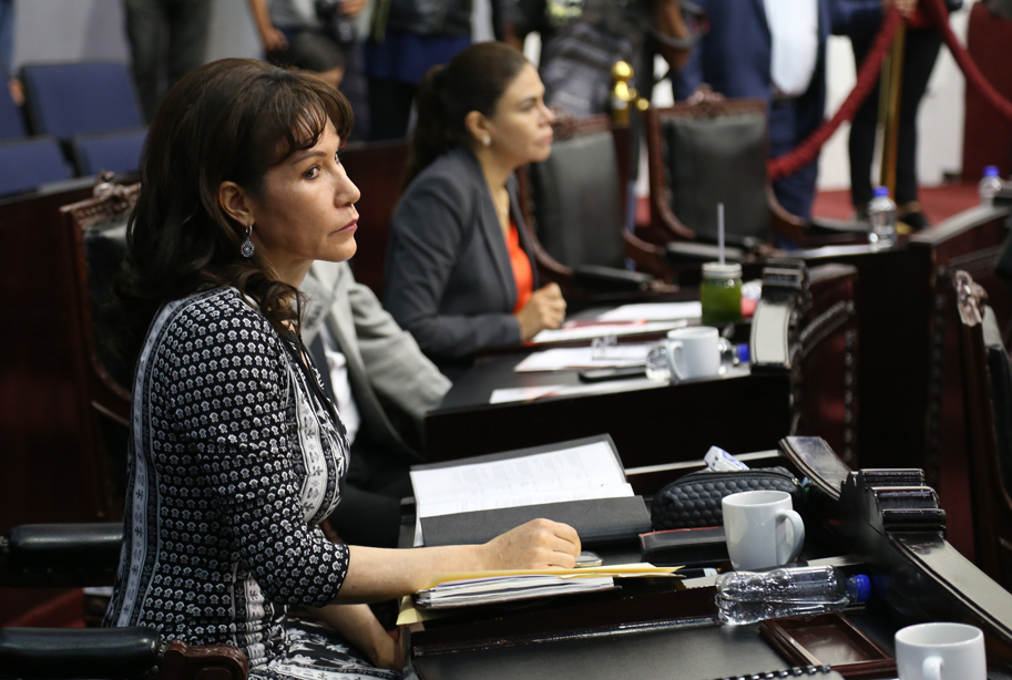 María Luisa Pérez Perusquía aseguró que los diputados locales no dejarán pendientes. (Jorge Sánchez)