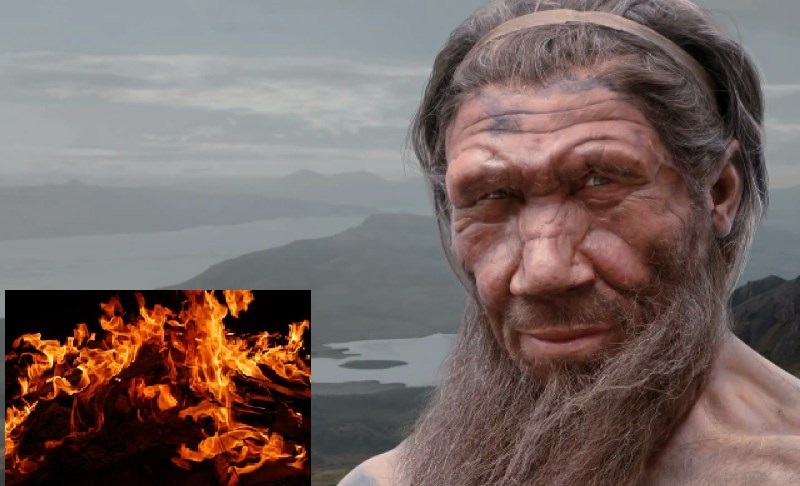 Esta especie humana prehistórica extinta, también utilizó la técnica de pirita (Especial).
