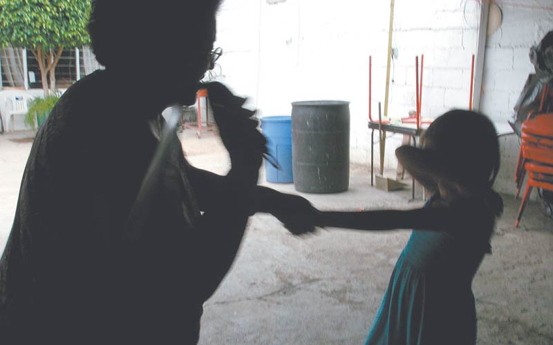 La violencia familiar fue la que más casos acumuló durante el primer semestre. (Foto: Archivo)