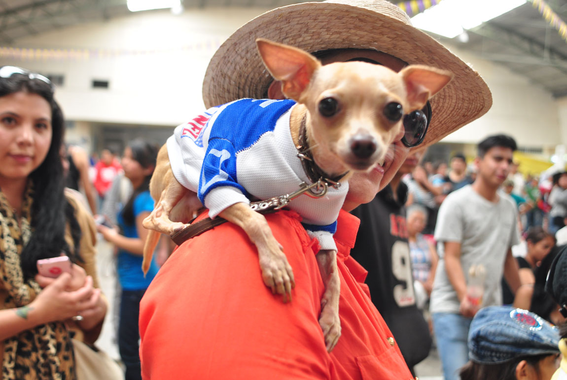 El Perro Fest es un evento anual que se desarrolla desde hace cuatro años. (Cortesía)
