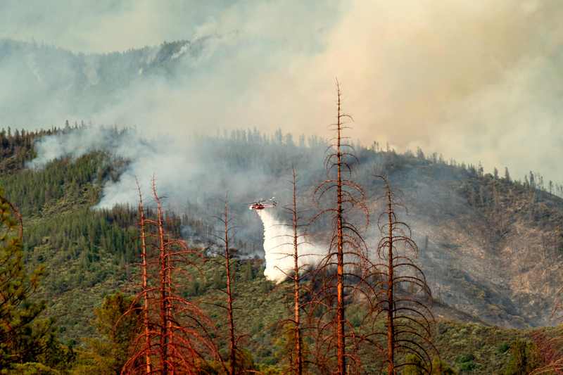 El incendio es combatido por miles de bomberos y voluntarios.