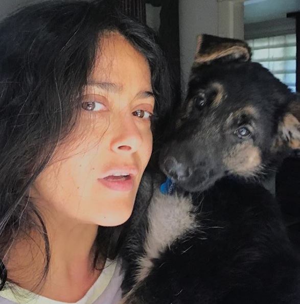 Salma Hayek publicó una fotografía al despertar. (Foto: Instagram)
