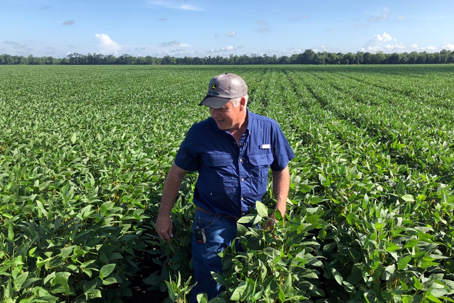 La ayuda se destinará principalmente a productores de soja, sorgo, productos lácteos, frutas, arroz y nueces. (Reuters)
