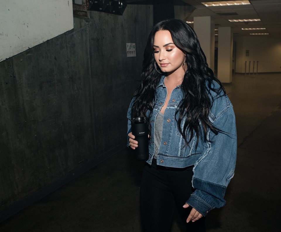 Stuart Oldham, representante de Demi Lovato emitió un comunicado sobre la salud de la cantante (Facebook Demi Lovato).