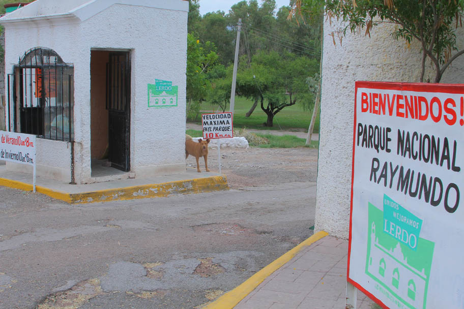 El cobro por carro es de 20 pesos pero se desconoce el destino de ese dinero. (Archivo)