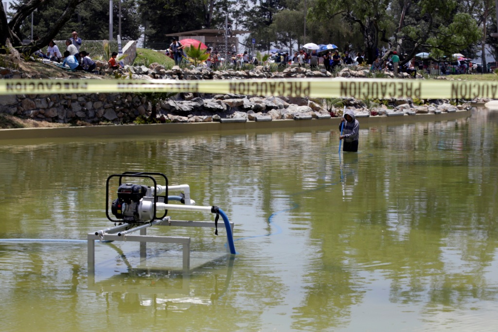 Limpieza y mantenimiento del Parque Amalucan (Mireya Novo)