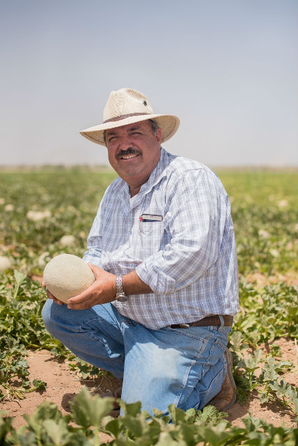 “El agrónomo es el médico de las plantas”