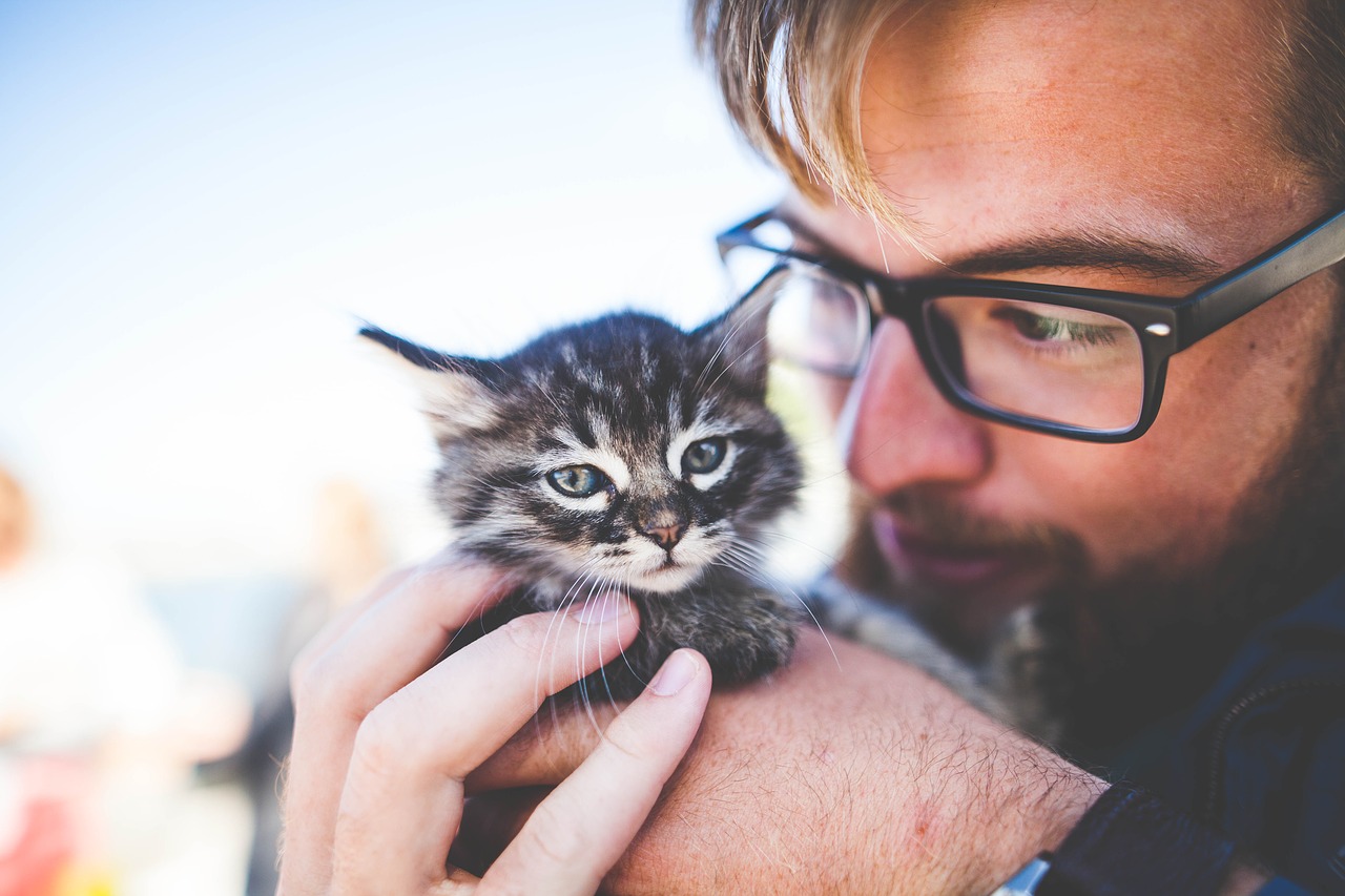 El toxoplasma se contagia por contacto con las heces felinas. (Especial)