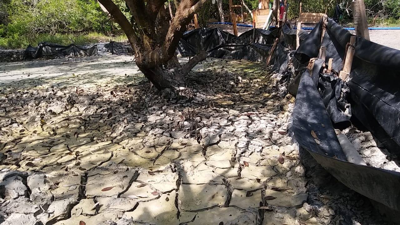 Contaminación de agua.(Lucero Reyes)