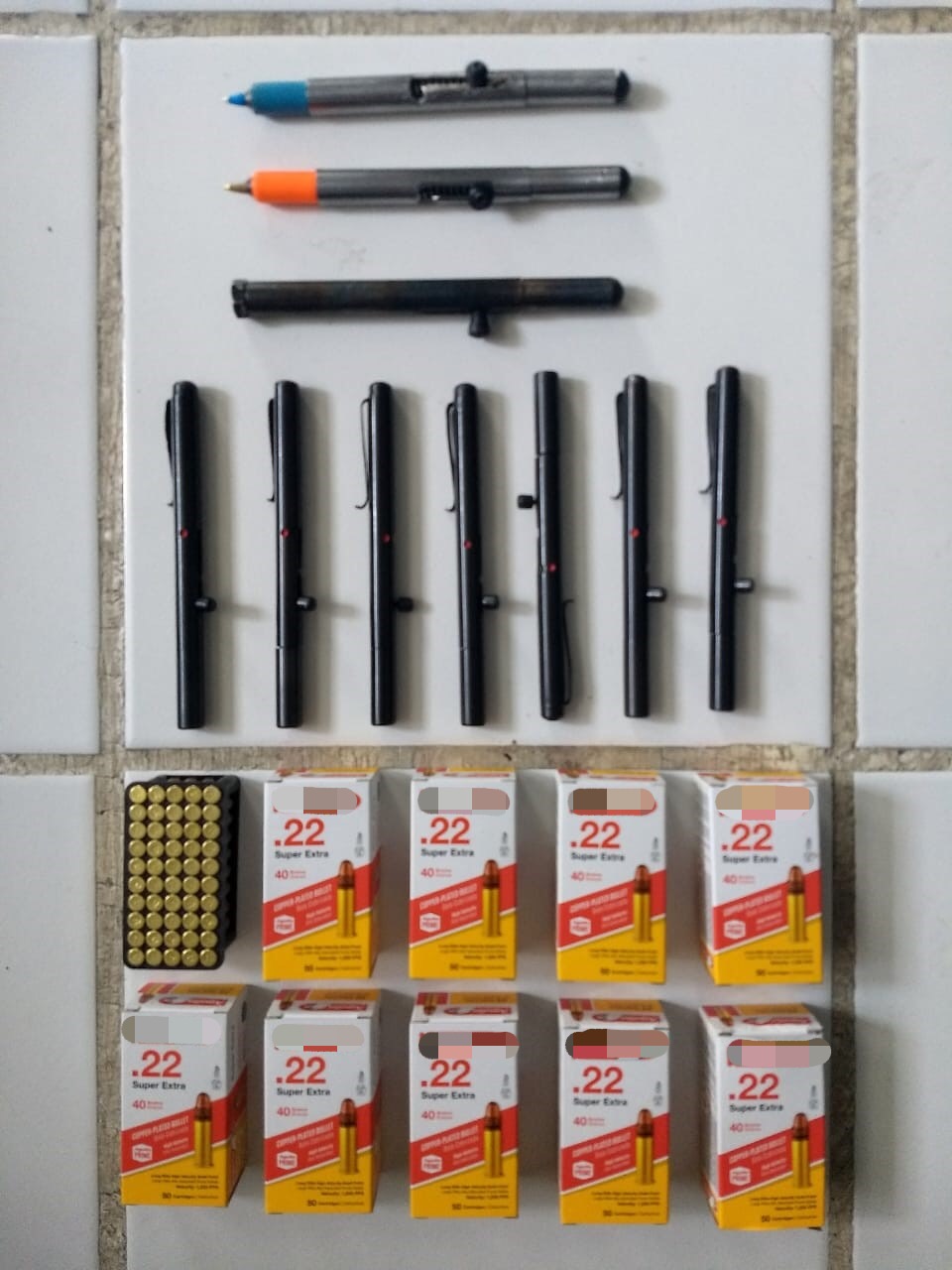 Las diez armas de fuego, tipo pluma, y cientos de cartuchos útiles.
