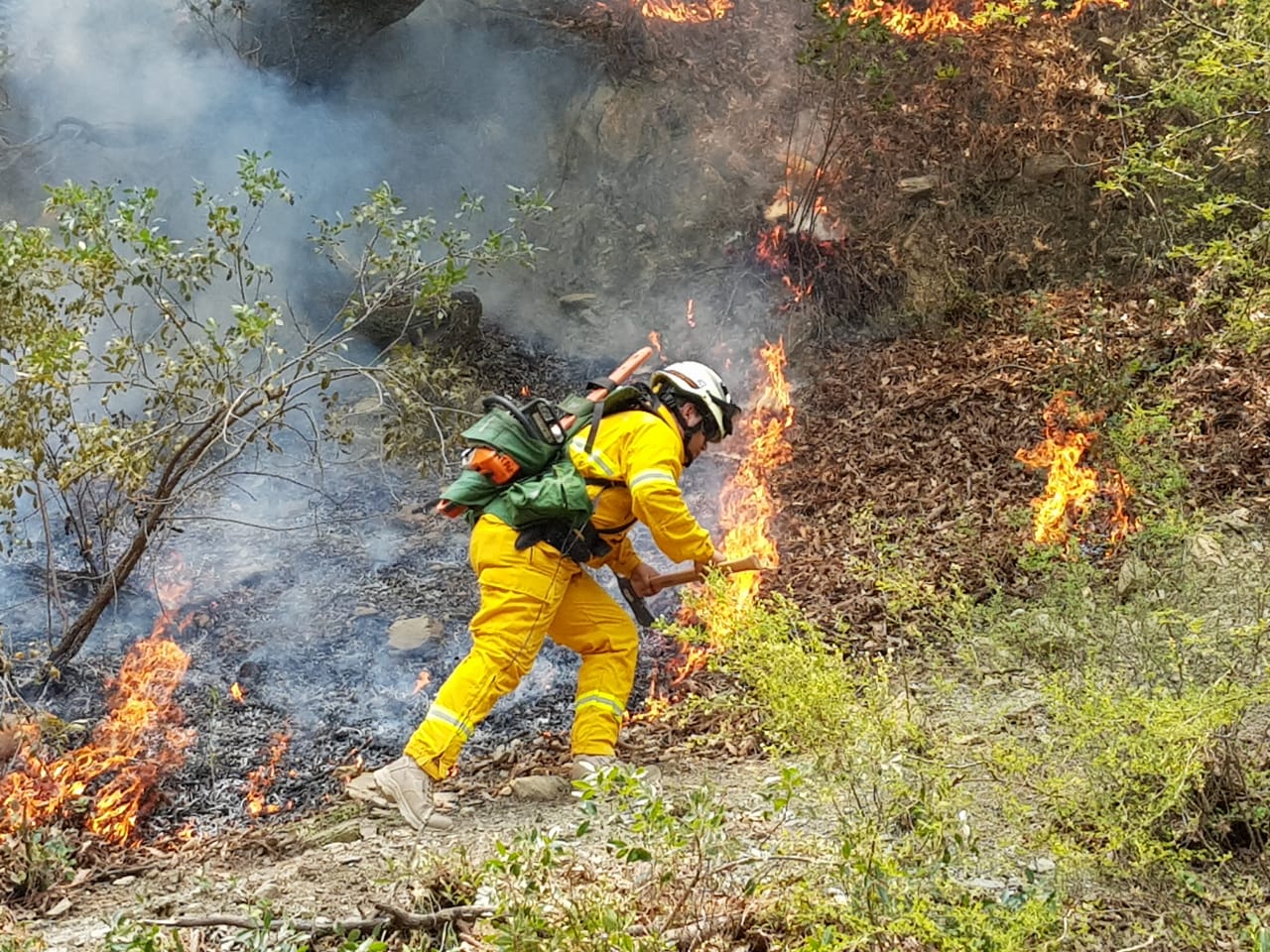 El siniestro afectó más de mil hectáreas de la sierra de Linares e Iturbide. (Foto: Especial)