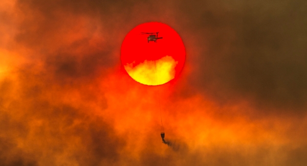 El incendio Carr ya arrasó 36 mil hectáreas, destruyó 517 edificaciones y dañó 135 (AP)