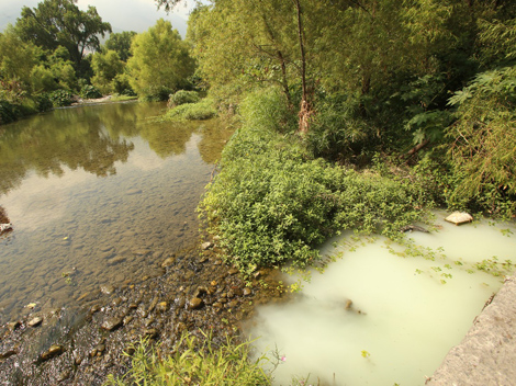 Derrame en río La Silla. (Foto: Roberto Alanís)