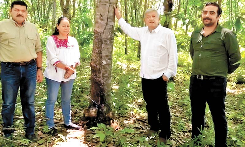 Javier May Rodríguez, María Luisa Albores, el virtual presidente electo y el agrónomo Hugo Chávez. (Foto: Especial)