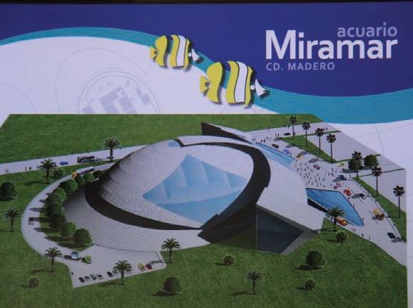 Quieren que el próximo Presidente considere a Playa Miramar como área de oportunidad.(Especial)