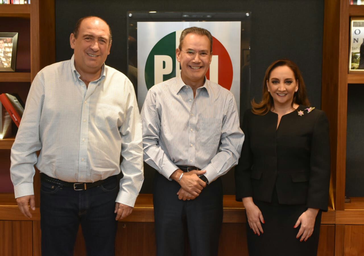 Claudia Ruiz Massieu designó a  Héctor H. Gutiérrez de la Garza como secretario  de organización del CEN