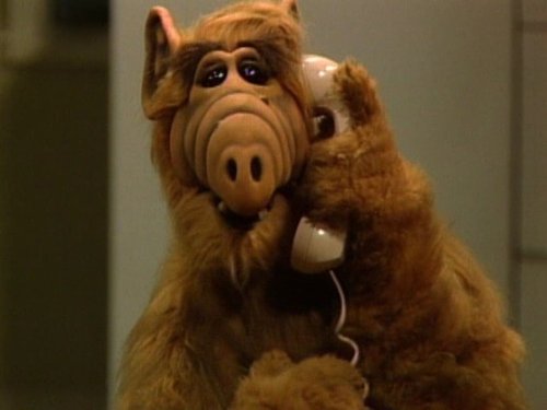 ALF podría volver a la televisión, aunque aún el proyecto se encuentra en etapas tempranas de desarrollo (NBC).