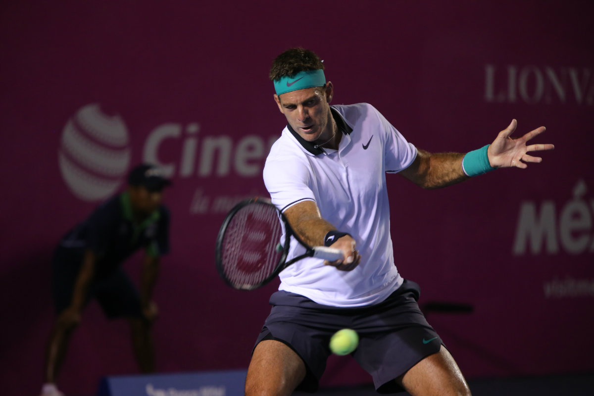 Juan Martín del Potro (Santiago Chaparro)