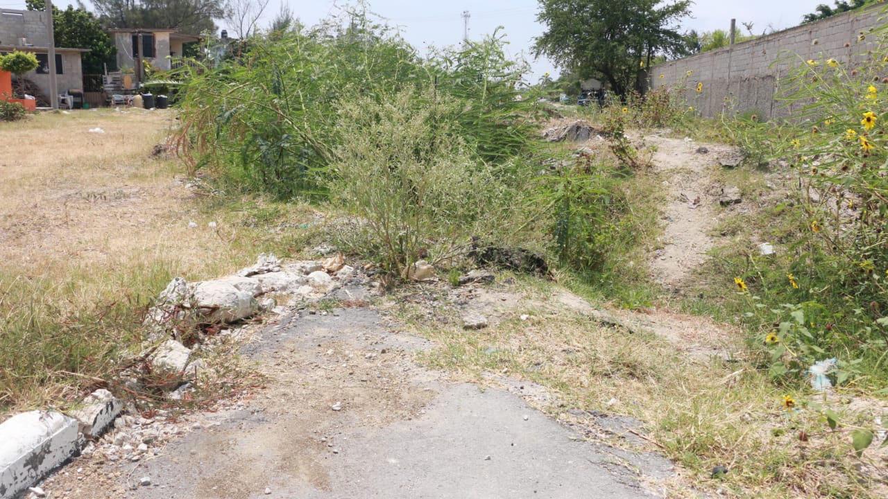 Robo de hidrocarburo genera daños a parque en Ciudad Madero (Yazmín Sánchez)
