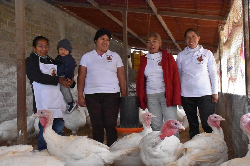 Irma, Judith, María de los Ángeles e Irene conforman Productores Cíhuatl (FAO)