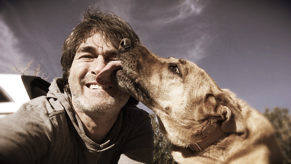 La saliva del perro tenía una bacteria que ocasionó la infección. (Especial)
