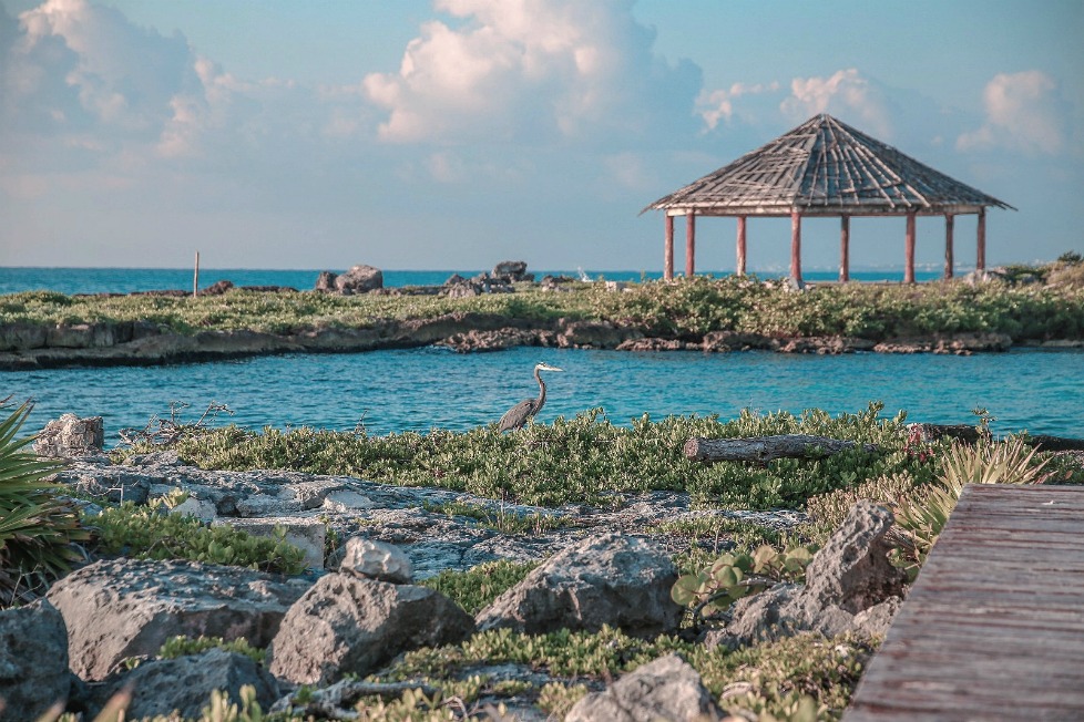 Chetumal (Cortesía).