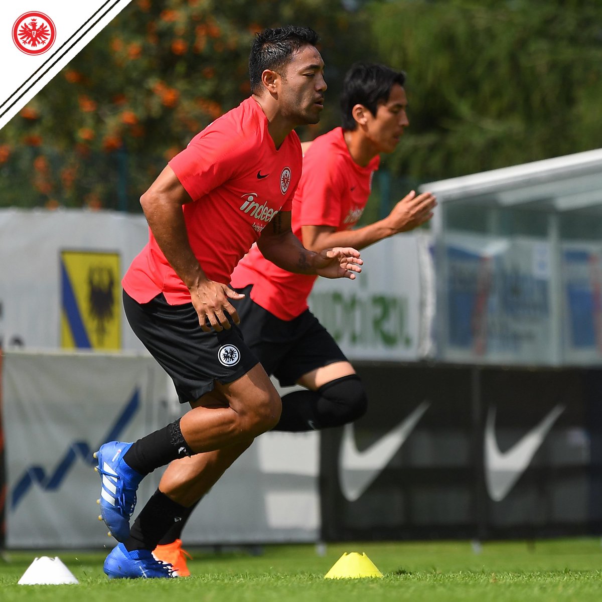 Marco Fabián tuvo minutos en la derrota del Eintracht Frankfurt (Twitter @eintracht_esp)