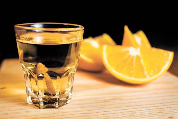 Oaxaca es el principal productor de mezcal del país.
