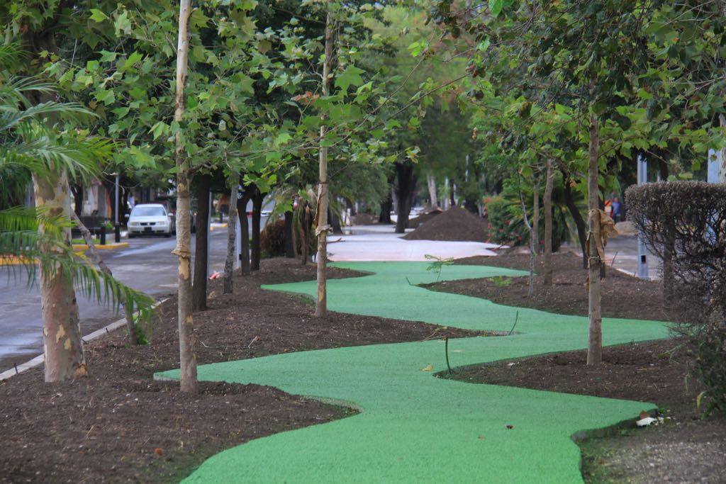 Avenida sustentable.