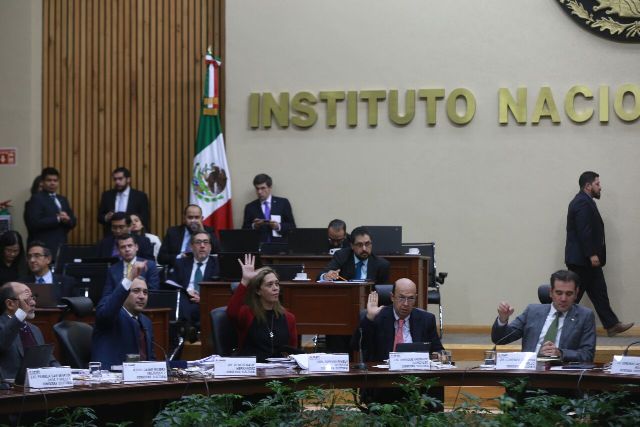 Sesión del Consejo General del INE/Araceli López.