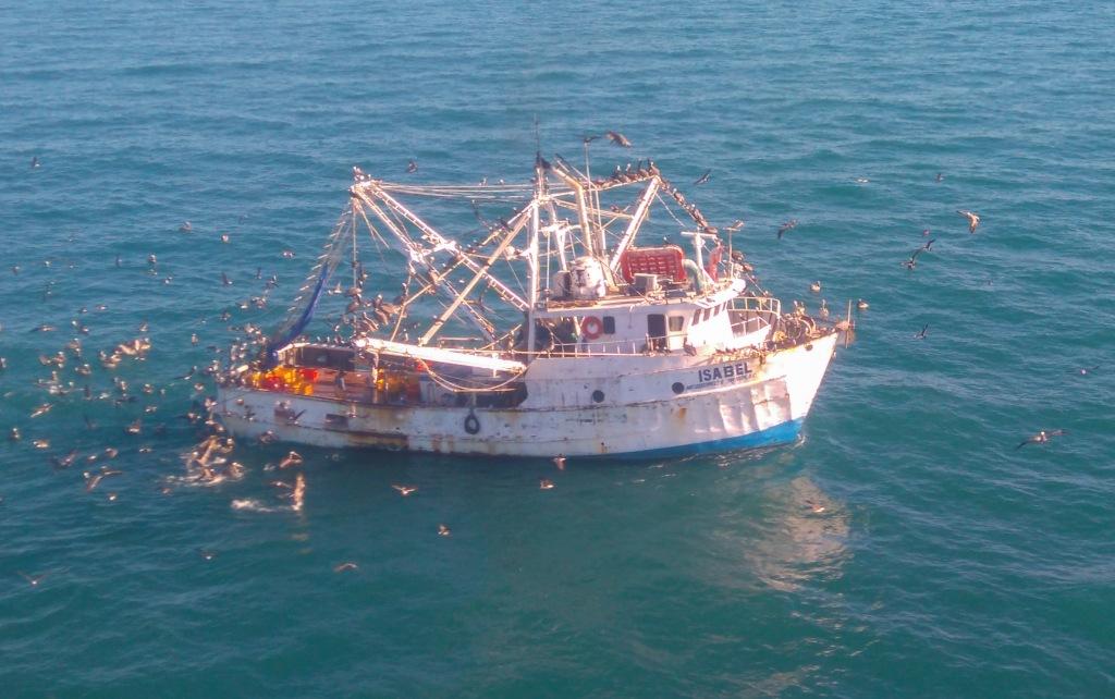 Elementos de Profepa aseguraron un buque por pescar en área de refugio de la vaquita marina (Cuartoscuro)
