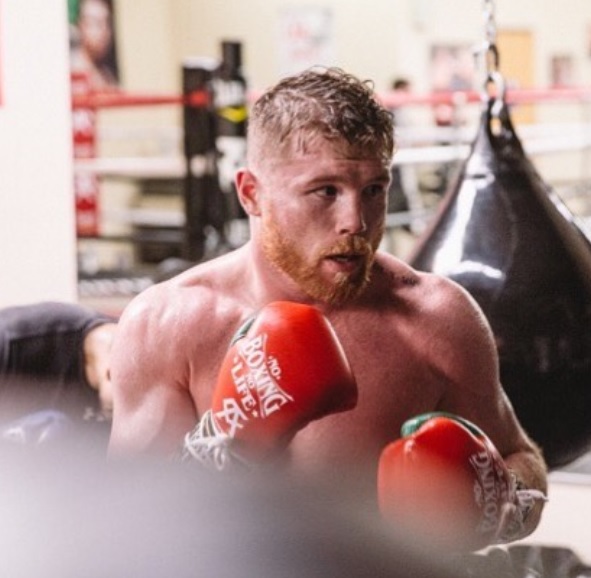 Saúl 'Canelo' Álvarez (@Canelo)