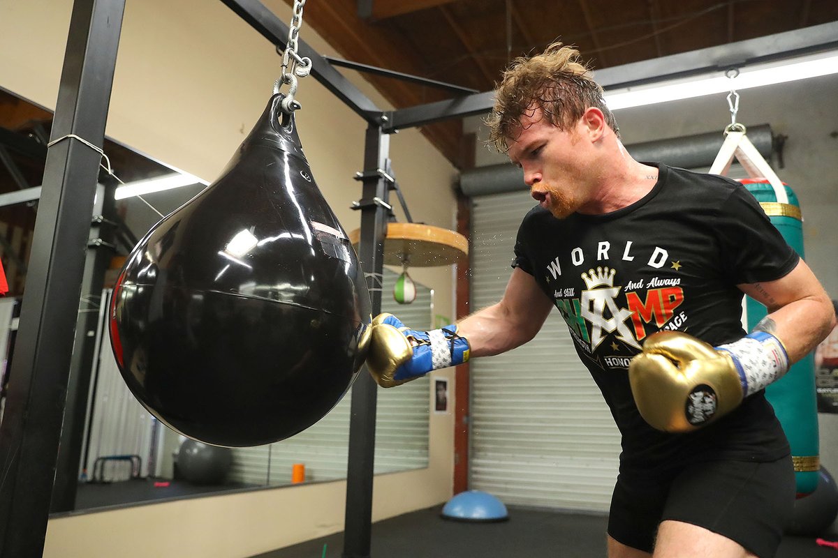 ‘Canelo’ Álvarez  quiere noquear a ‘GGG’ (@GoldenBoyBoxing)