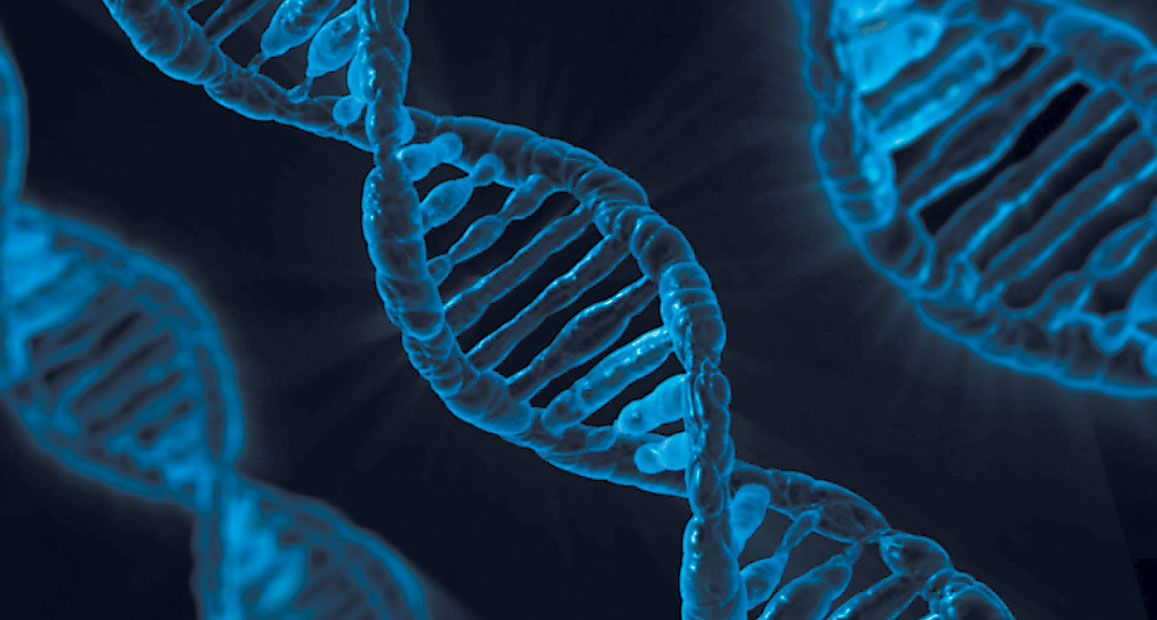 Hay 2 mil 186 proteínas potencialmente sintetizadas por el genoma humano que no se han podido reconocer. (Especial)