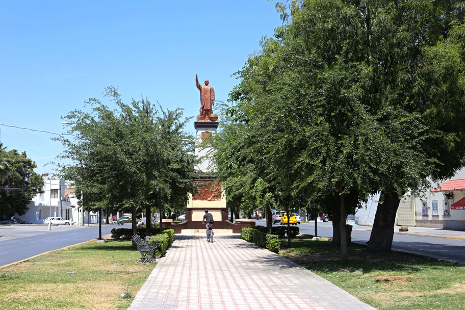 Se realizó la revisión de 11 árboles enfermos que se encuentran en la Calzada Colón. (Arturo Salazar)