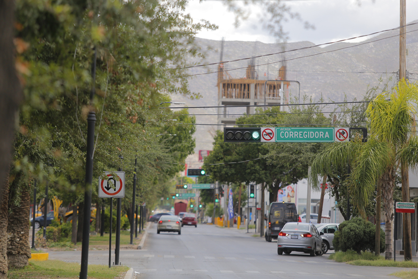 Los árboles se riegan todos los días, de lunes a viernes. (Manuel Guadarrama)
