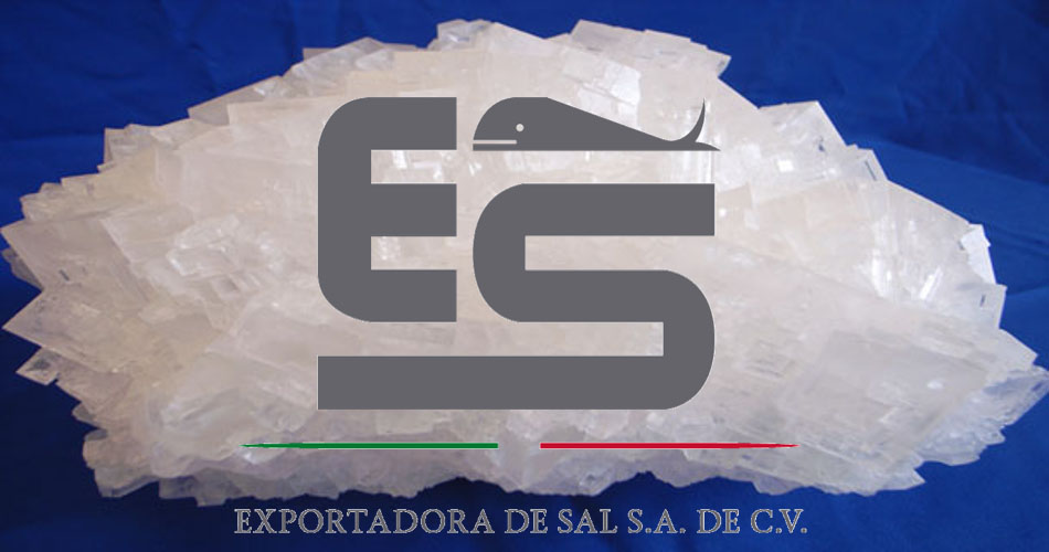 Exportadora de Sal es una de las principales empresas productoras del mundo. (Foto: cortesía)