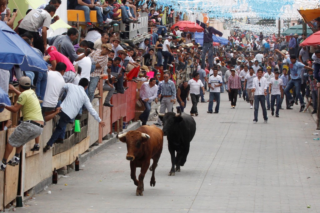 Se reportan cinco lesionados en el inicio de la Huamantlada; ninguno corre peligro (Agencia Enfoque / Archivo)