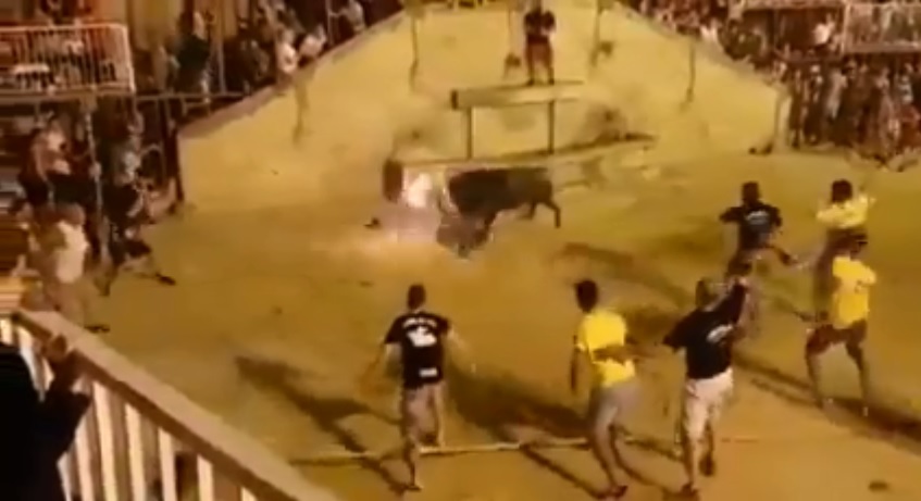 Toro embiste a un hombre en España (Especial)