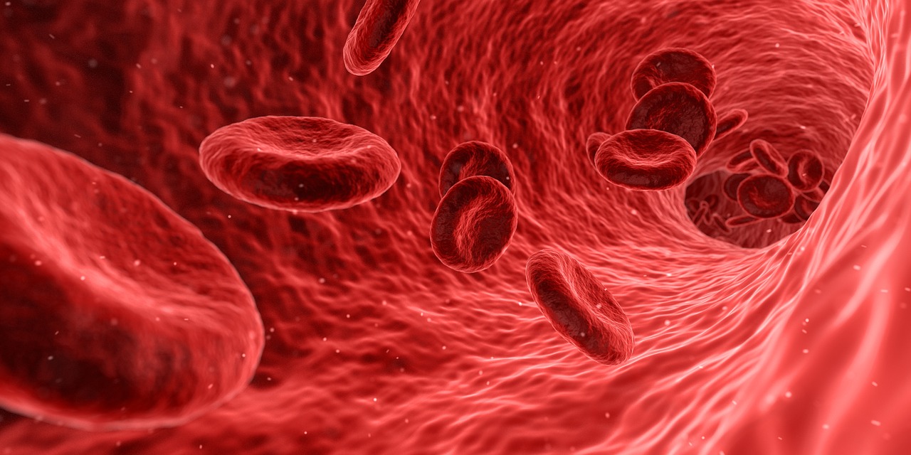 La clave para el cambio está en los intestinos. (Especial)