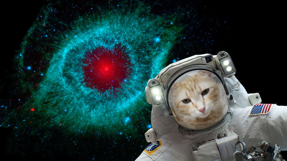 Con esta app, podrás 'tomarte' selfies junto a una nebulosa. (NASA / JPL-Caltech)