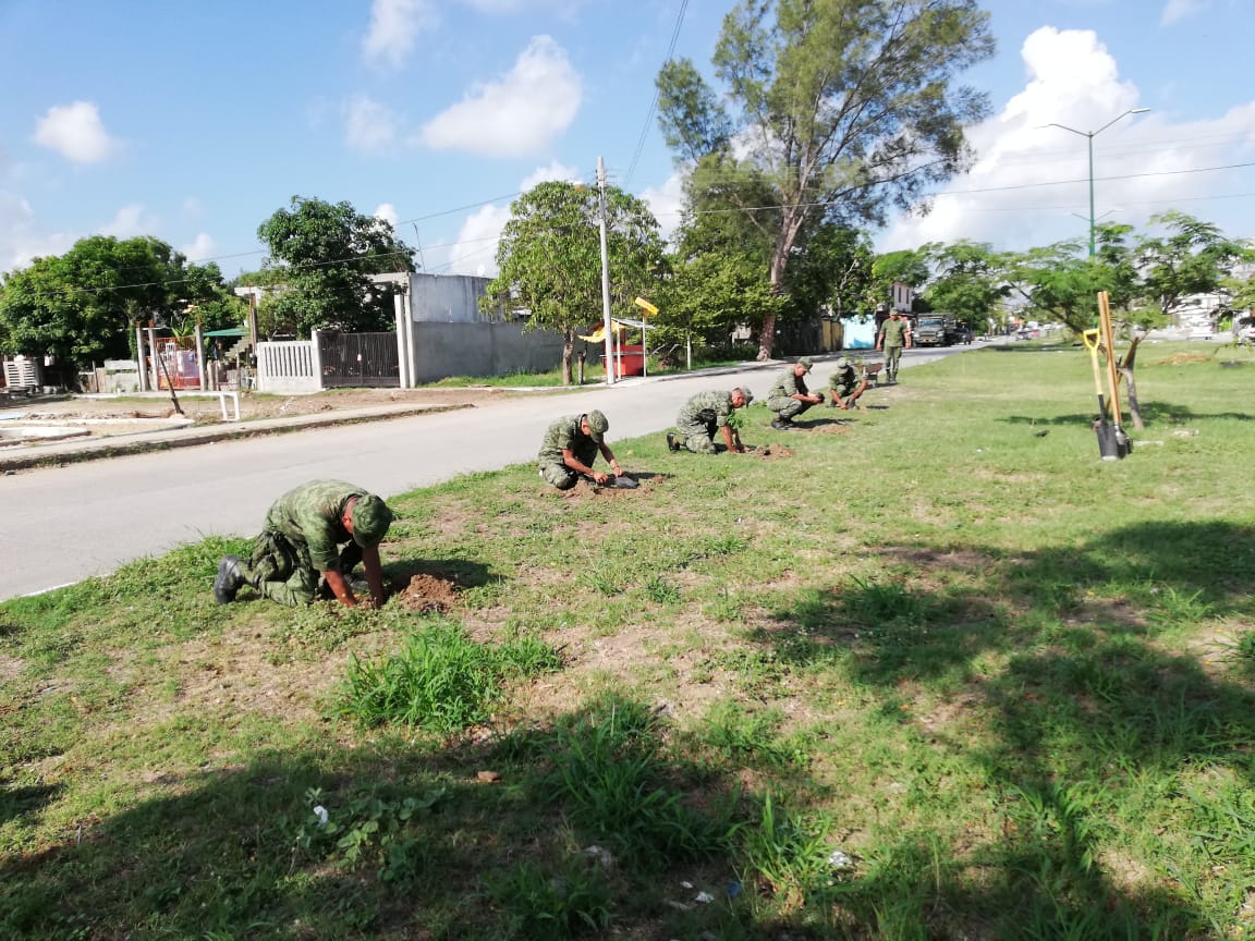 Militares inician campaña de reforestación en Tmapico (Cortesía)