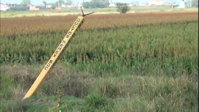 Pierden campesinos 154  mdp por contaminación