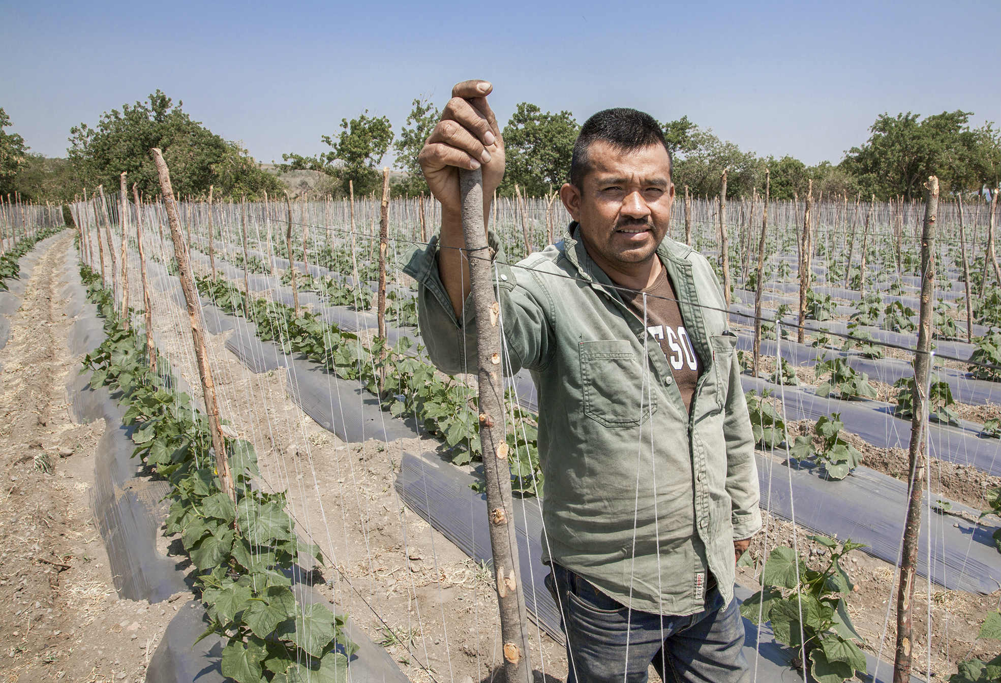 Benjamín Buenfil conoce desde niño lo que es vivir de la agricultura, pero nunca fue tan dificil como ahora. (Foto: Duilio Rodríguez).