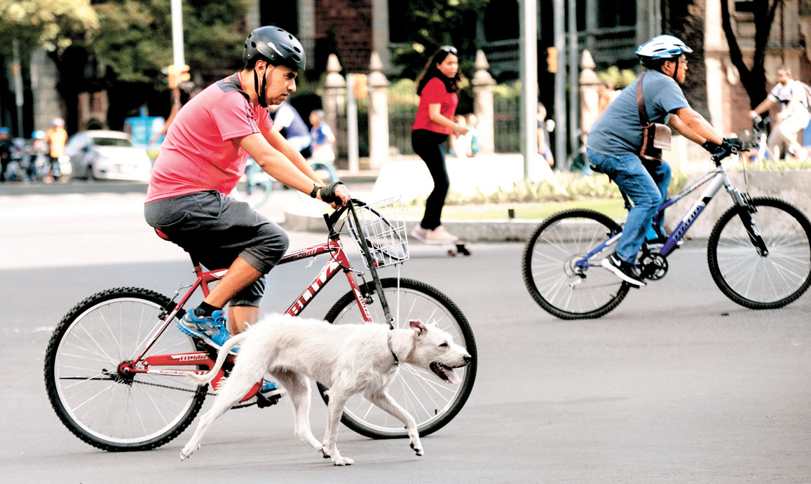 Espacio mejorado para los ciudadanos y sus mascotas en CdMx. (Araceli López)